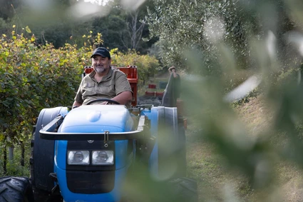 Degustazione Olio Extravergine del Garda: Tour Panoramico ed Esperienza Sensoriale 1 Degustazione Olio Extravergine del Garda: Tour Panoramico ed Esperienza Sensoriale 1